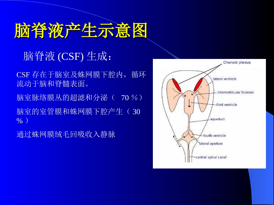 脑积液-专-5_第2页