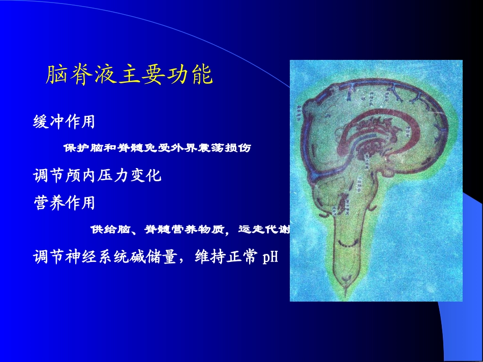 脑积液-专-5_第3页