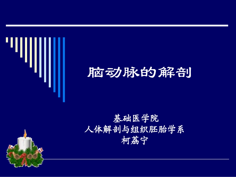 脑动脉解剖图_第1页