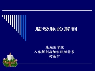 脑动脉解剖图