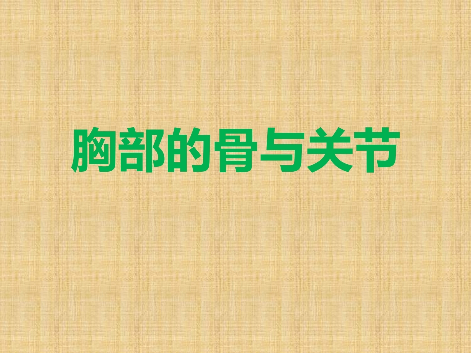 胸部的骨与关节_第1页