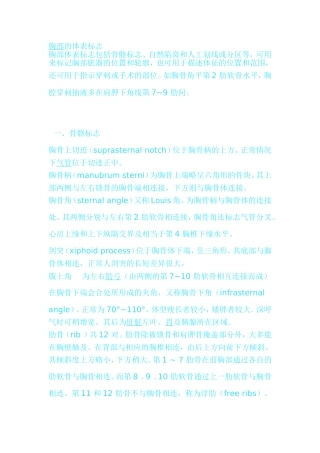 胸部的体表标志