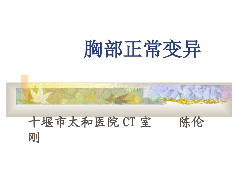 胸部正常变异_第1页