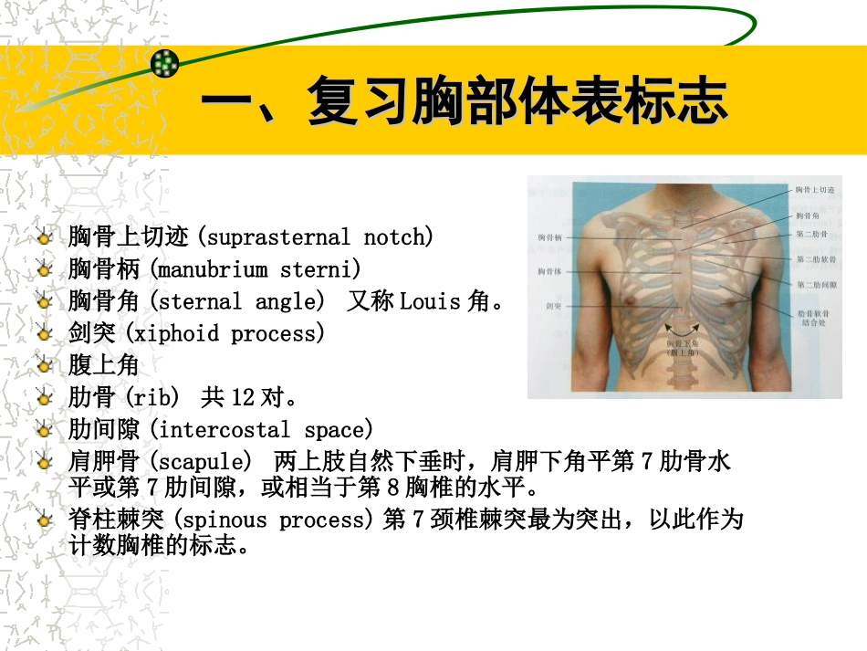 胸部体格检查_第1页