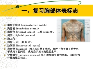 胸部体格检查