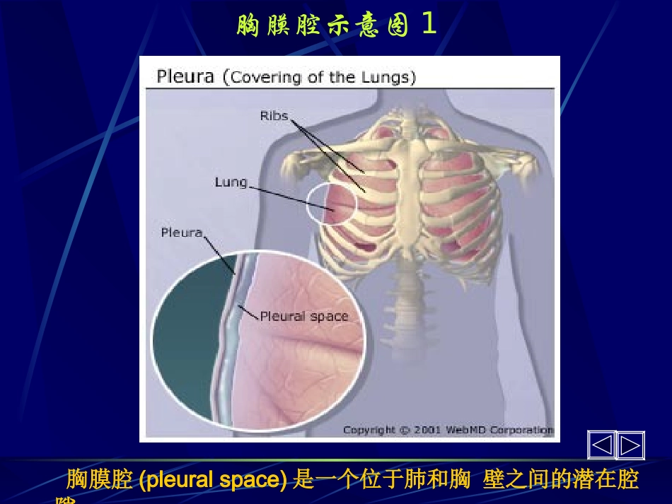 胸腔积液第六版_第1页