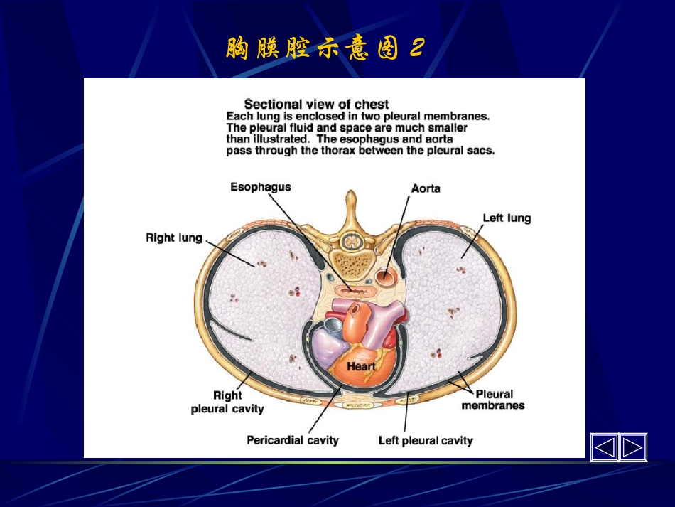 胸腔积液第六版_第2页