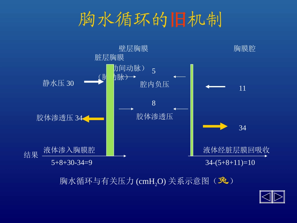 胸腔积液第六版_第3页