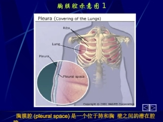 胸腔积液第六版