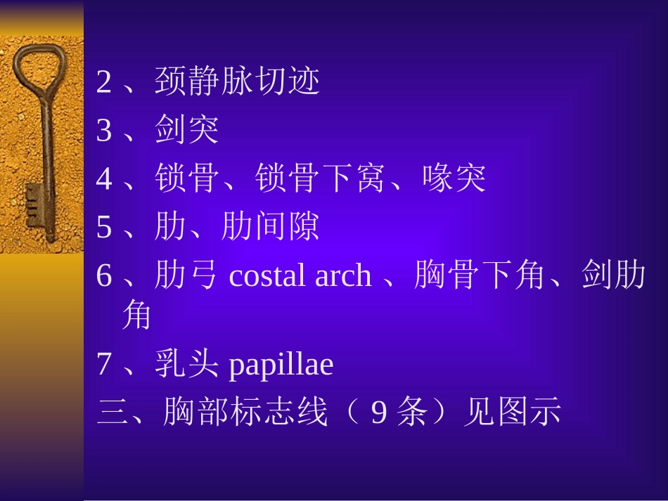 胸前区、腋区_第3页