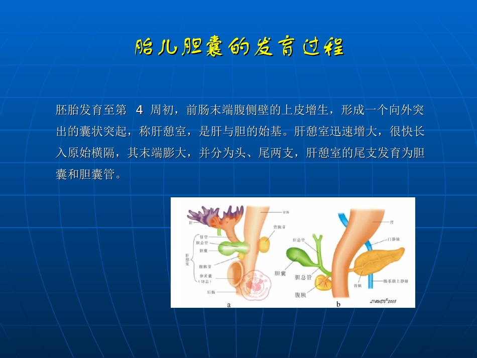 胎儿胆囊超声观察_第2页