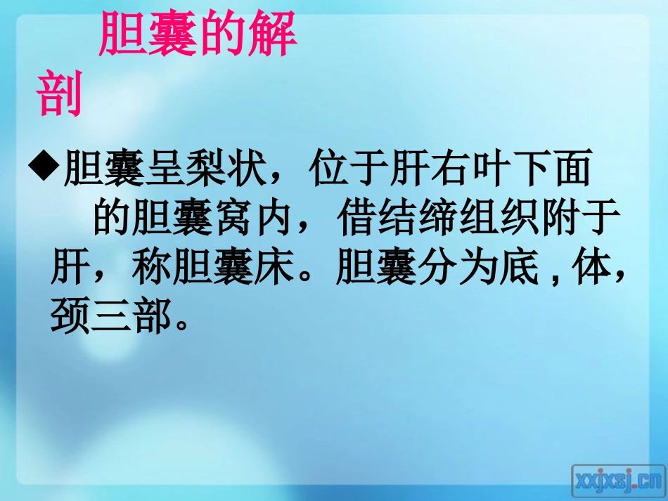 胆囊切除的手术配合_第3页