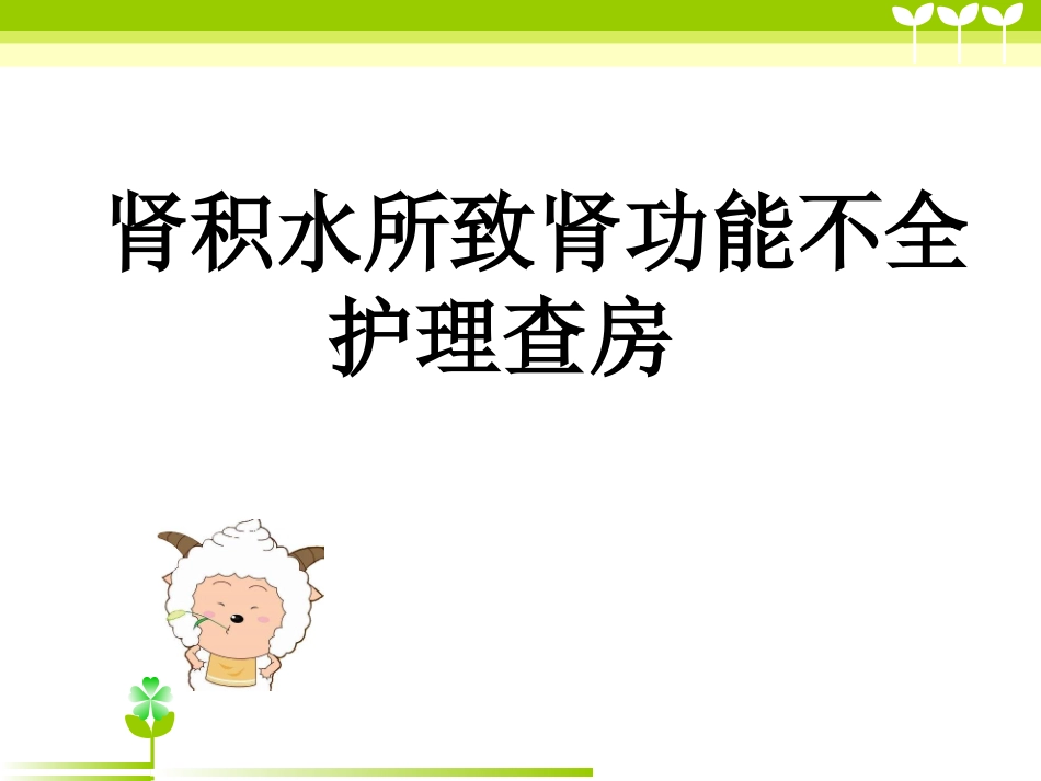 肾积水致肾功能不全护理查房_第1页