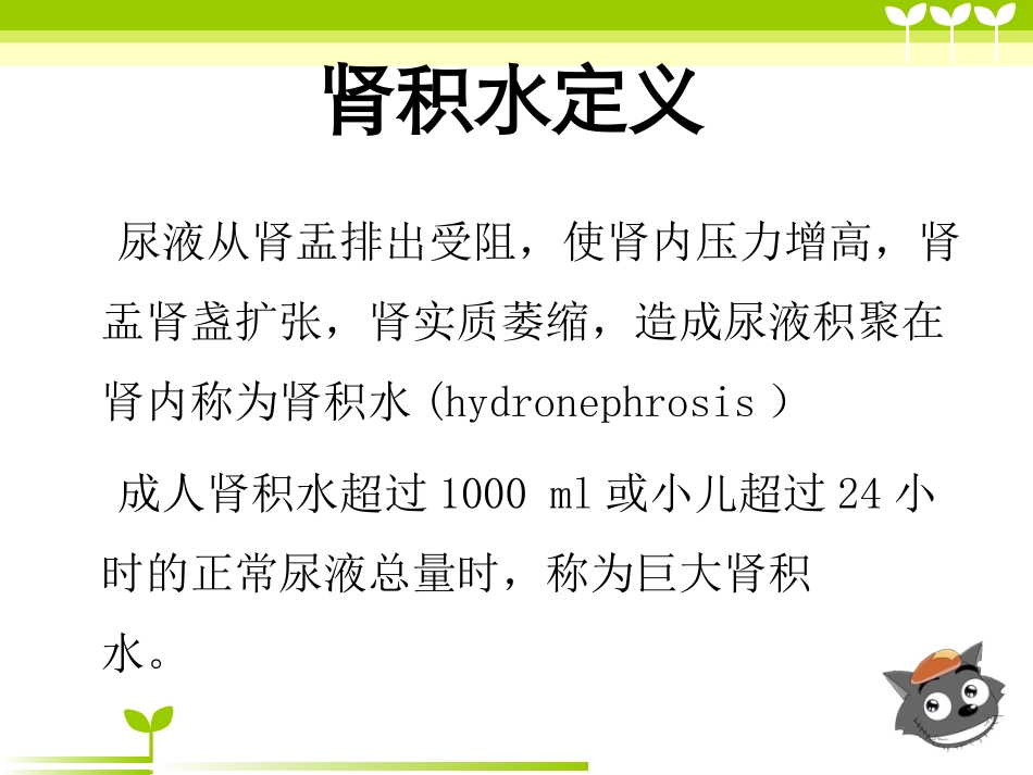 肾积水致肾功能不全护理查房_第3页