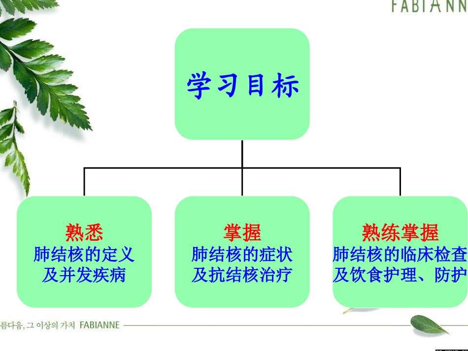 肺结核治疗和防护_第2页