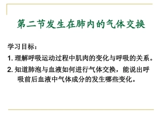 肺的气体交换