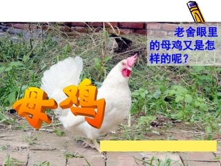 吉林省-王红梅-ppt