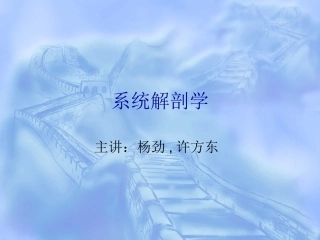 肱骨骨折与神经损伤、肘关节