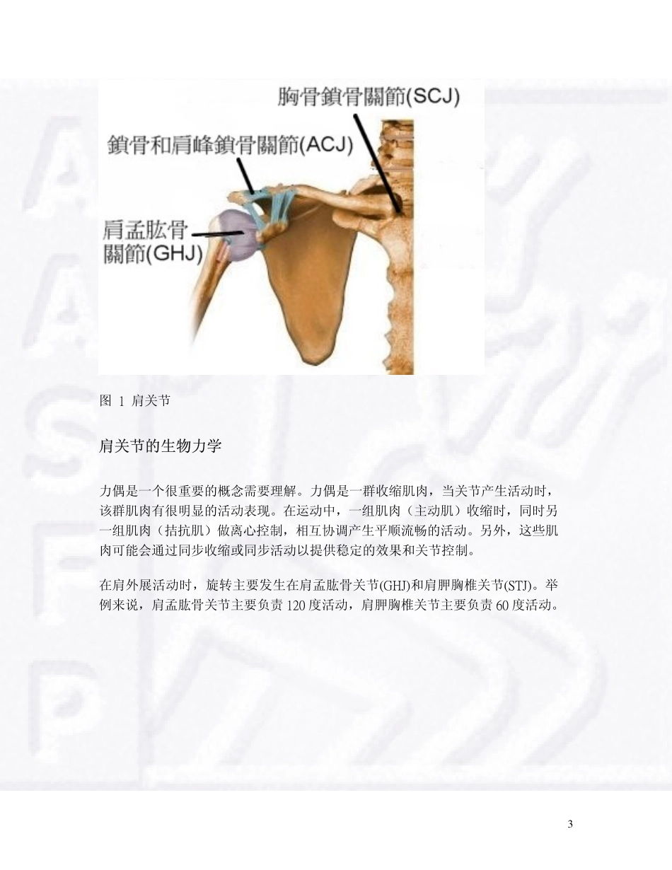 肩部训练的有效方法_第3页