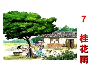 人教版五年级语文上册第二组用《07桂花雨》PPT课件