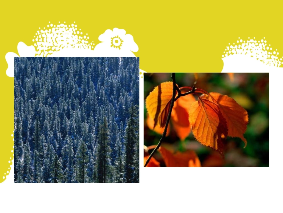 《重重叠叠》课件4_第3页