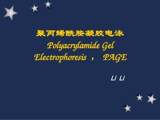 聚丙烯酰胺凝胶电泳