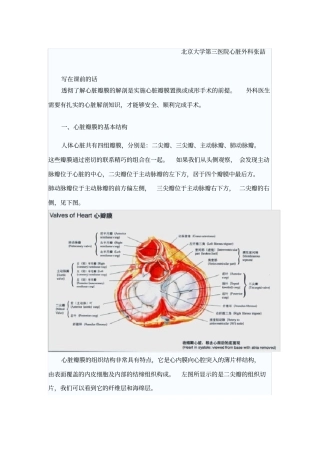 1心脏瓣膜的应用解剖