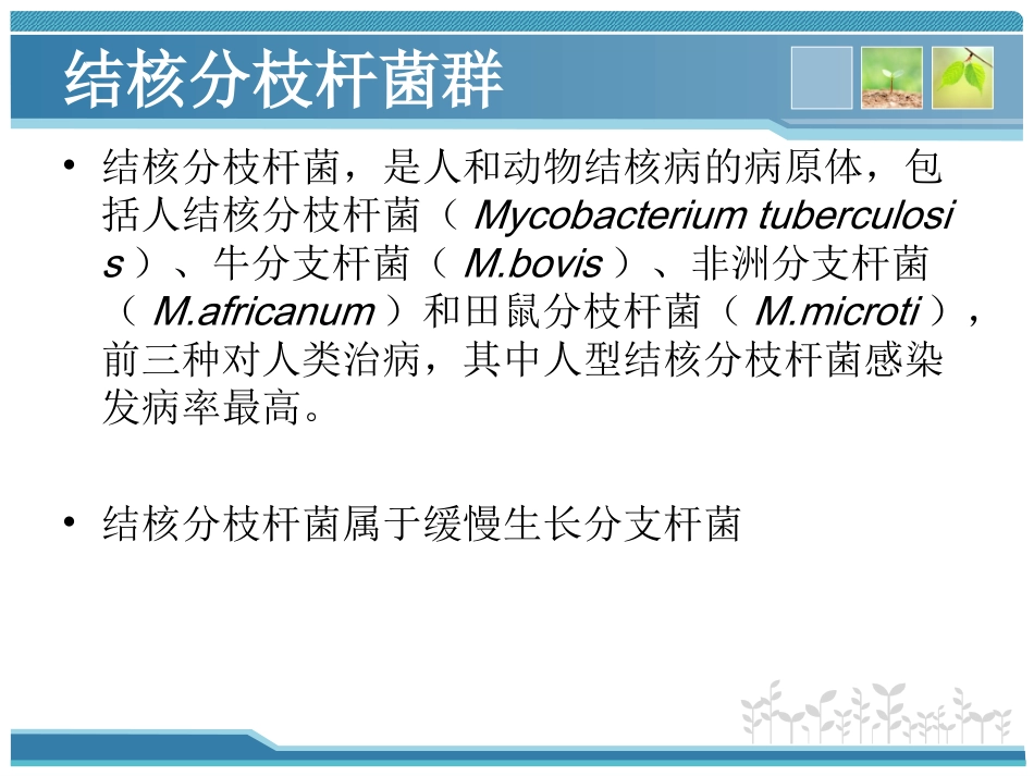 结核分枝杆菌实验室检测方法_第3页