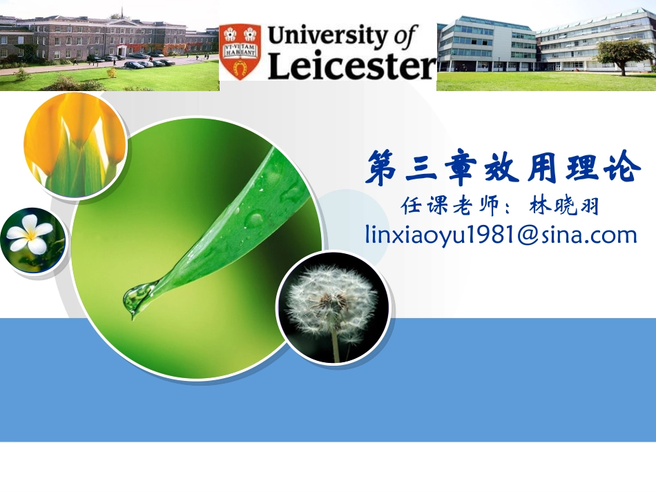 经济学基础第三章效用理论_第1页