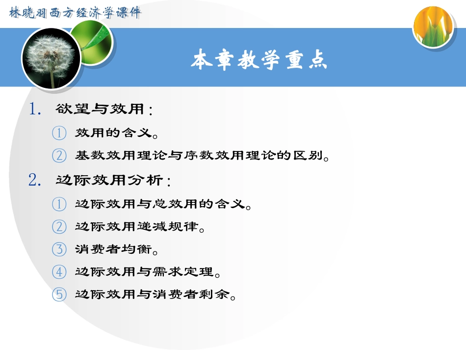 经济学基础第三章效用理论_第2页