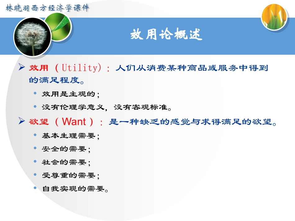 经济学基础第三章效用理论_第3页