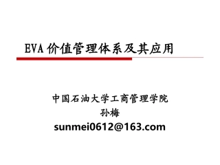 经济增加值的理论与应用0817