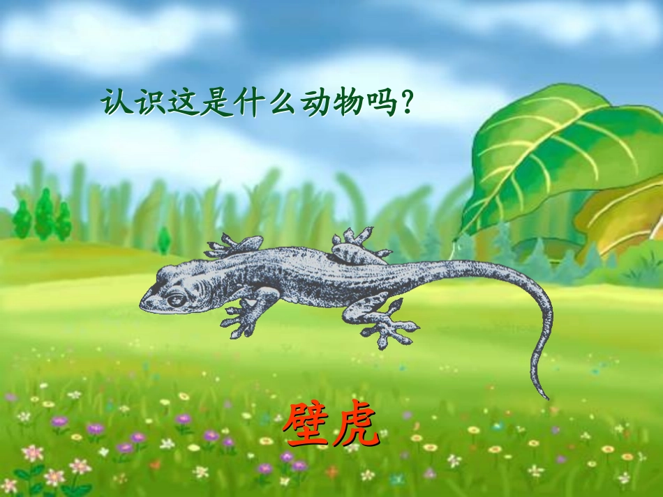 (部编)人教语文2011课标版一年级下册《小壁虎借尾巴》第二课时课件-(2)_第1页