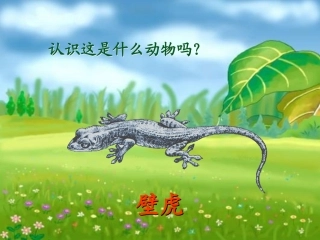 (部编)人教语文2011课标版一年级下册《小壁虎借尾巴》第二课时课件-(2)