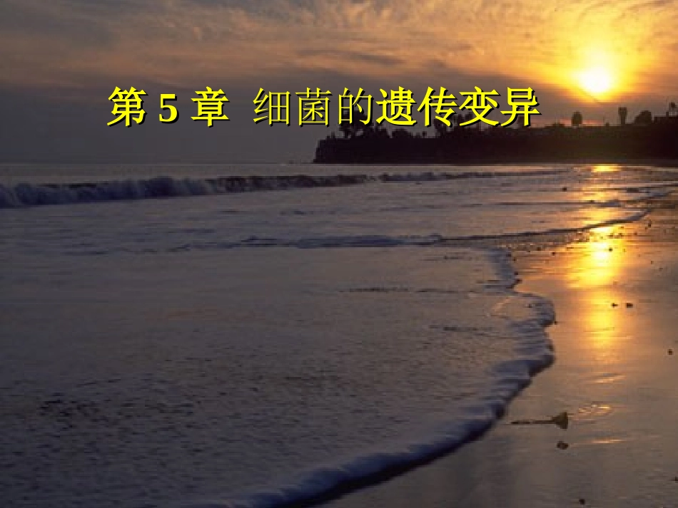 细菌的遗传变异_第1页