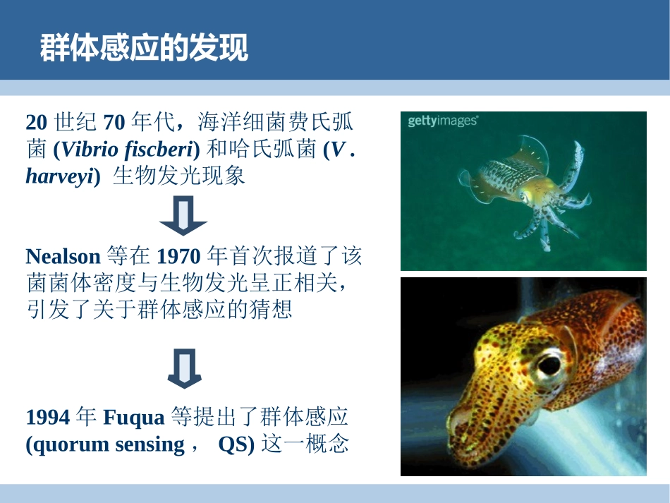 细菌群体感应系统及其应用_第3页