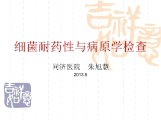 细菌耐药性与病原学检查