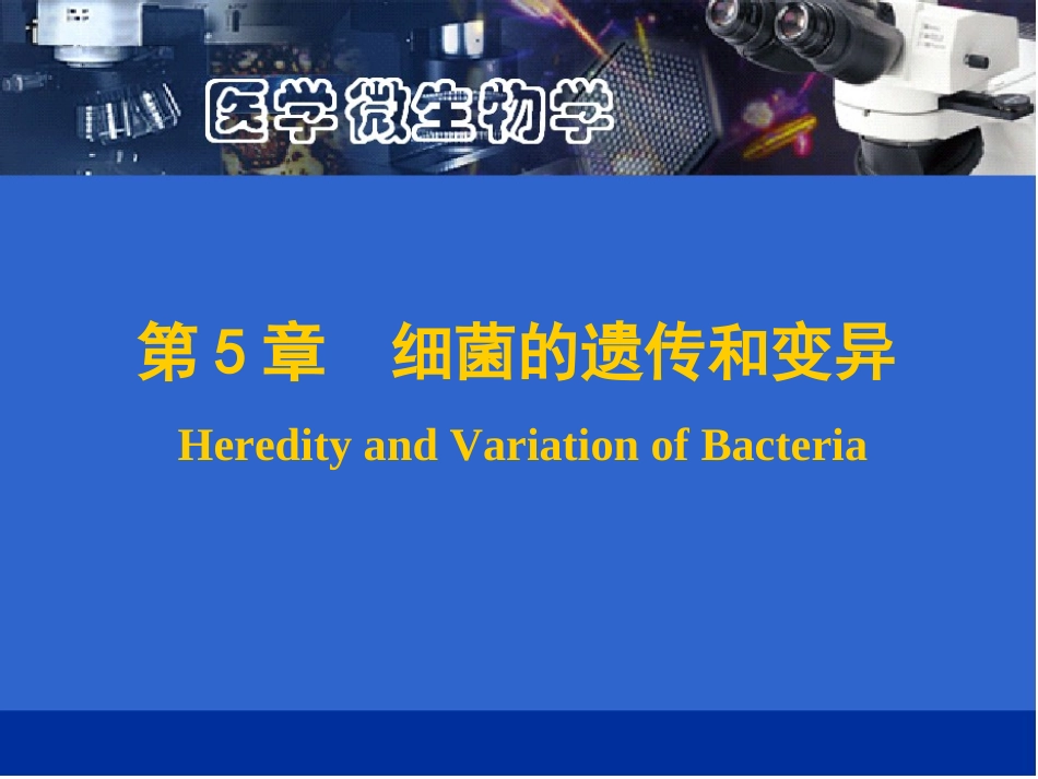 细菌的遗传和变异_第1页