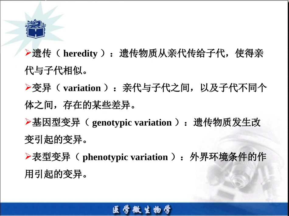 细菌的遗传和变异_第2页