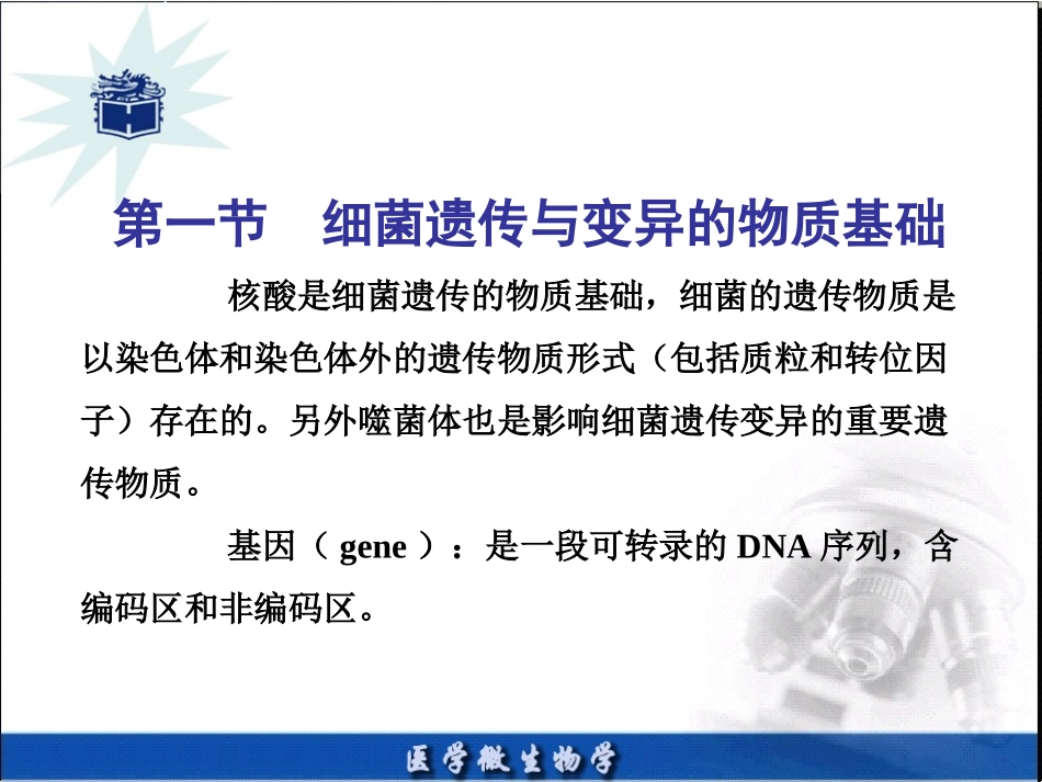 细菌的遗传和变异_第3页