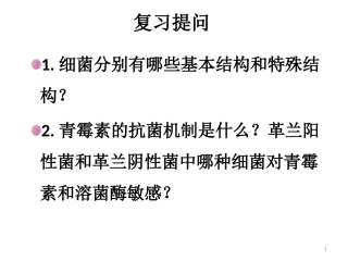 细菌的生长繁殖与代谢