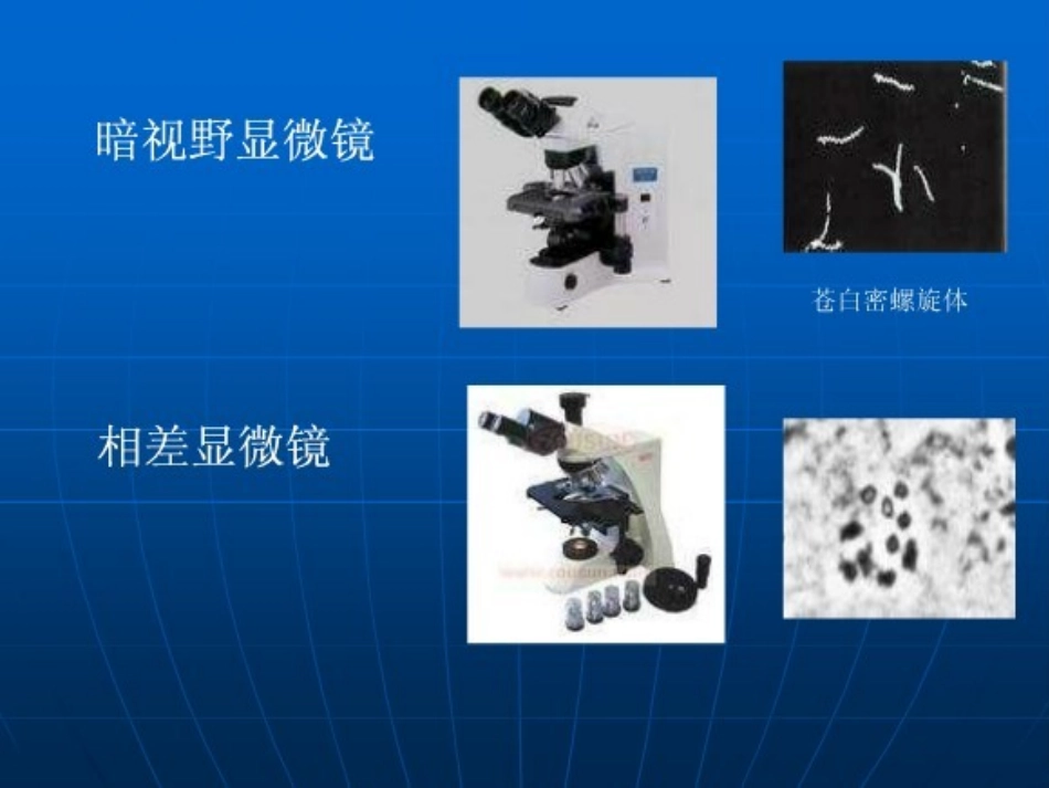细菌的检方法[资料]_第2页