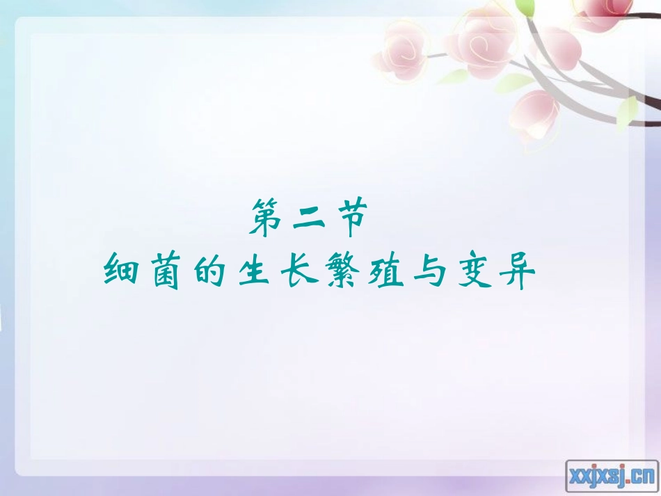 细菌的生长繁殖与变异-PPT_第1页