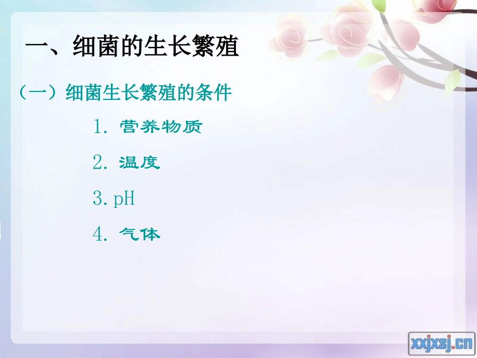 细菌的生长繁殖与变异-PPT_第2页