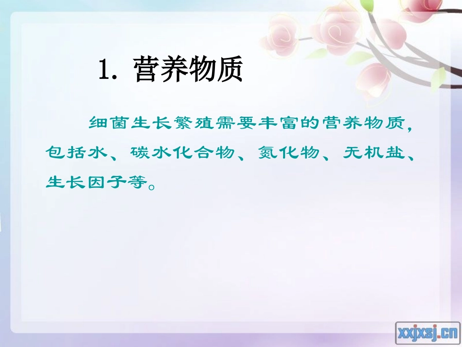 细菌的生长繁殖与变异-PPT_第3页