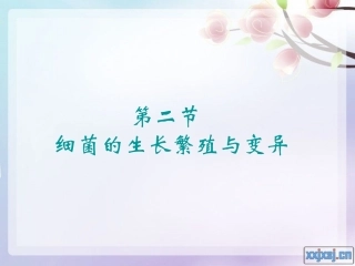 细菌的生长繁殖与变异-PPT