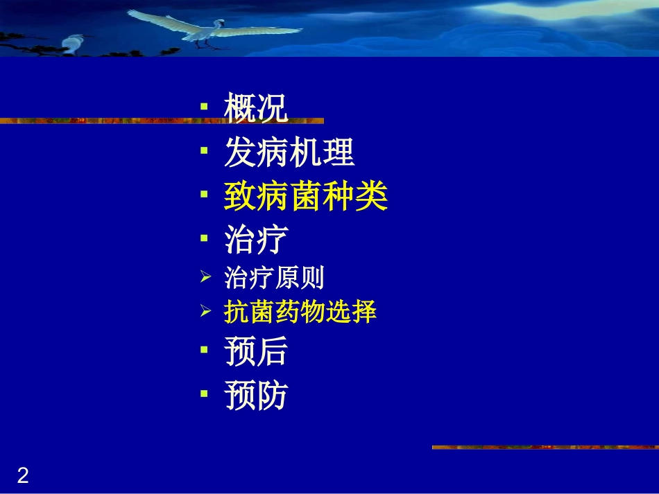 细菌性脑膜炎(hn09)_第2页