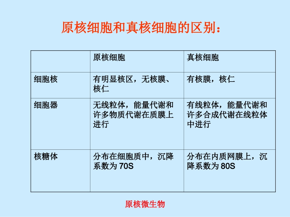 细菌学概论1._第3页