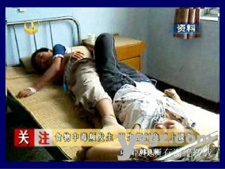 细菌性食物中毒(bacterial-food-poisoning)_第2页