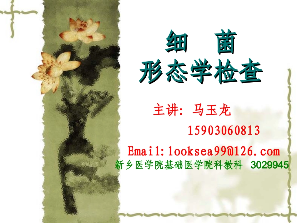 细菌形态学检查_第2页